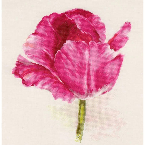 Cross Stitch Kit Dark Red Tulips, Aida 16 Cream Fabric, Alisa, 22 Colors, 22 × 26 cm, Embroidery Needle and Instructions