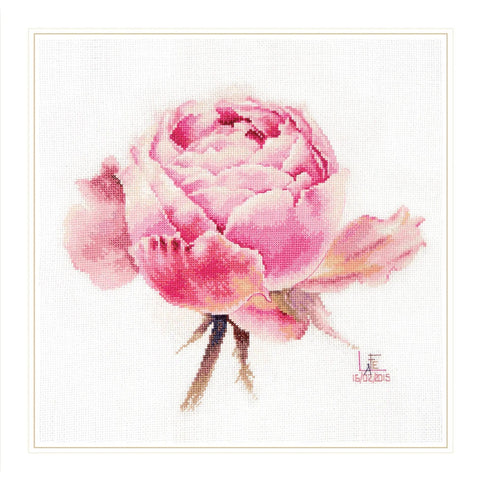 Cross Stitch Kit with Watercolor Pink Roses, Alisa Embroidery Set for Beginners and Advanced Crafters, Fabric, Threads, Needle and Chart