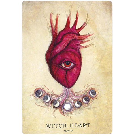 Anatomy Of A Witch Oracle Cards Llewellyn - Hobby.lt 🇬🇧
