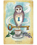 Anatomy Of A Witch Oracle Cards Llewellyn - Hobby.lt 🇬🇧