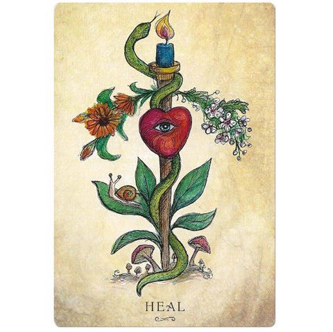 Anatomy Of A Witch Oracle Cards Llewellyn