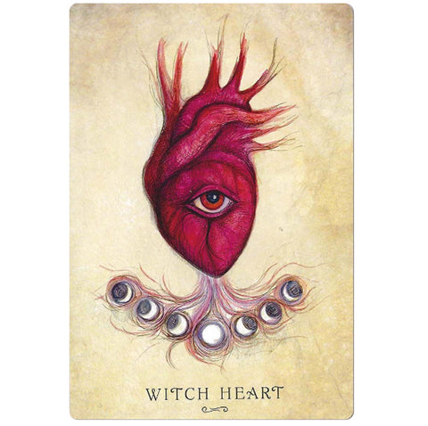 Anatomy Of A Witch Oracle Cards Llewellyn