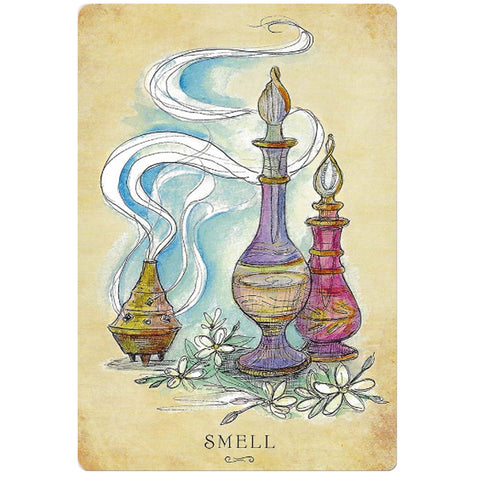 Anatomy Of A Witch Oracle Cards Llewellyn