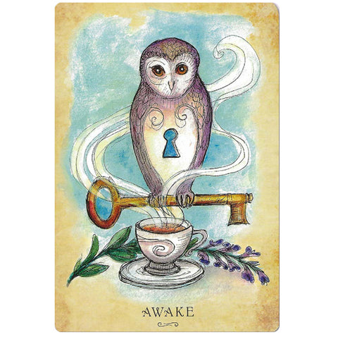 Anatomy Of A Witch Oracle Cards Llewellyn