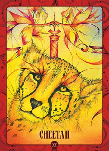 Ancient Animal Wisdom Oracle cards US Games Systems