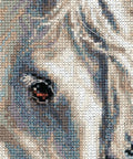 Andalusian character - Cross Stitch Kit from RIOLIS Ref. no.:1451 - Hobby.lt 🇬🇧