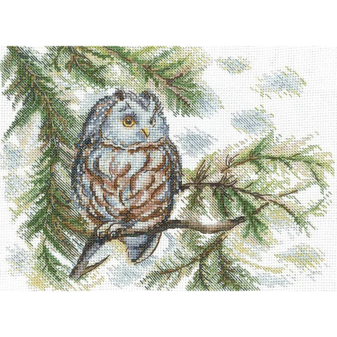 Cross Stitch Embroidery Kit with Owl Design, Beginner-Friendly, 20 × 15 cm, Colorful Aida Fabric, Andriana