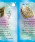Animal Allies and Gemstone Guardians Cards Findhorn Press - Hobby.lt 🇬🇧