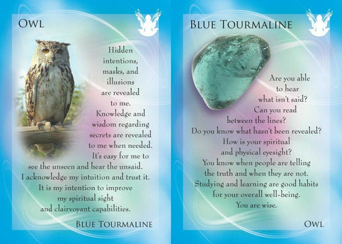 Animal Allies and Gemstone Guardians Cards Findhorn Press