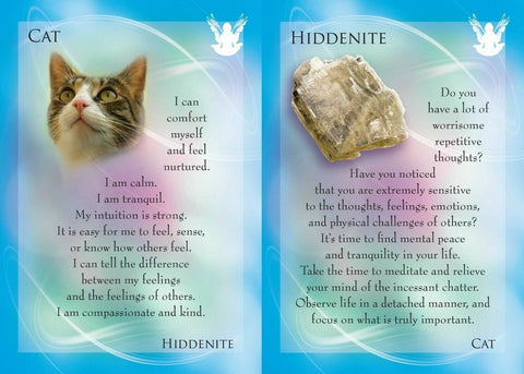 Animal Allies and Gemstone Guardians Cards Findhorn Press