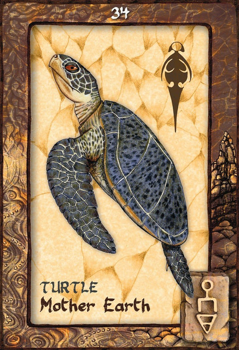 Animal Dreaming Oracle cards Blue Angel - Hobby.lt 🇬🇧