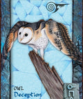 Animal Dreaming Oracle cards Blue Angel - Hobby.lt 🇬🇧
