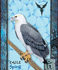 Animal Dreaming Oracle cards Blue Angel - Hobby.lt 🇬🇧
