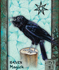 Animal Dreaming Oracle cards Blue Angel - Hobby.lt 🇬🇧