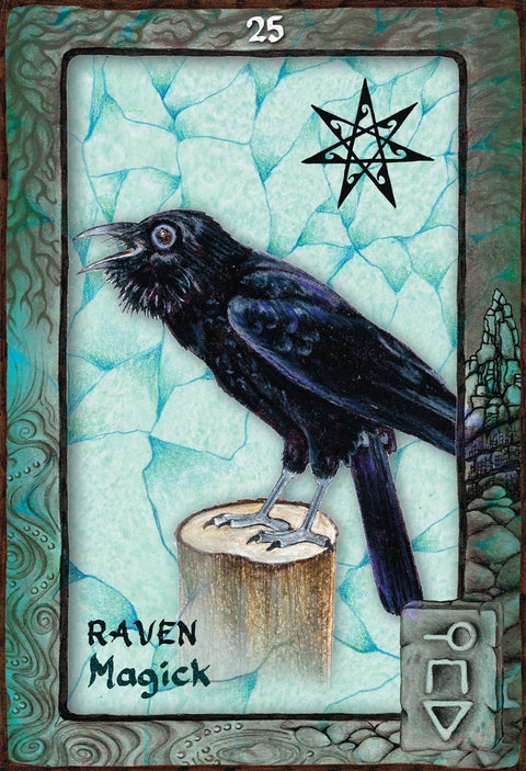 Animal Dreaming Oracle cards Blue Angel - Hobby.lt 🇬🇧