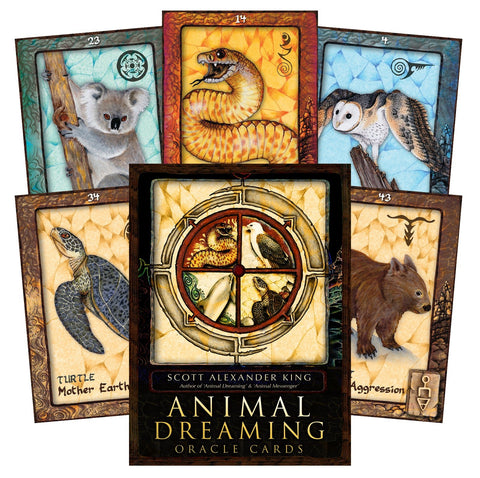 Animal Dreaming Oracle cards Blue Angel - Hobby.lt 🇬🇧