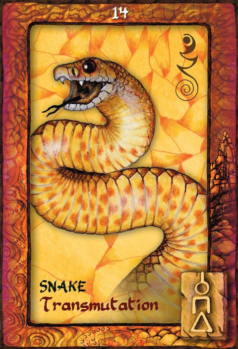 Animal Dreaming Oracle cards Blue Angel - Hobby.lt 🇬🇧