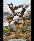Animal Totem Tarot Cards Llewellyn - Hobby.lt 🇬🇧
