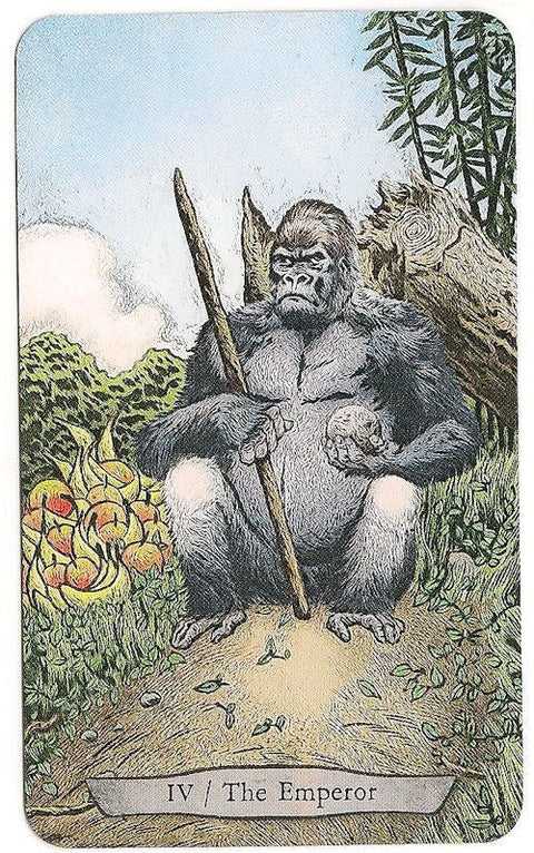 Animal Totem Tarot Cards Llewellyn - Hobby.lt 🇬🇧