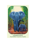 Animal Voices Oracle Cards Blue Angel - Hobby.lt 🇬🇧