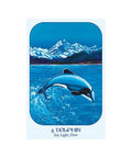 Animal Voices Oracle Cards Blue Angel - Hobby.lt 🇬🇧