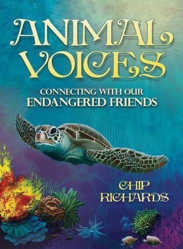 Animal Voices Oracle Cards Blue Angel - Hobby.lt 🇬🇧