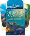 Animal Voices Oracle Cards Blue Angel - Hobby.lt 🇬🇧