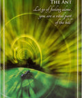 Animal Whispers Empowerment Cards Findhorn Press - Hobby.lt 🇬🇧