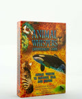 Animal Whispers Empowerment Cards Findhorn Press - Hobby.lt 🇬🇧