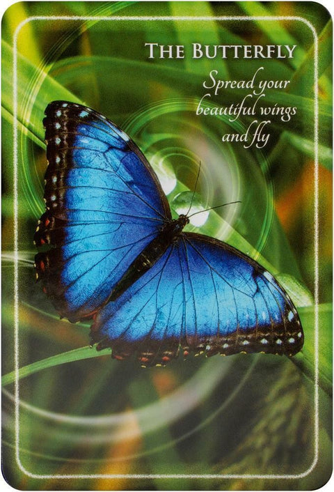 Animal Whispers Empowerment Cards Findhorn Press