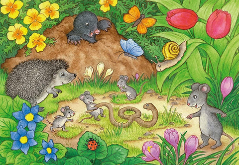 Animals in Our Garden 2 x 12 Puzzles