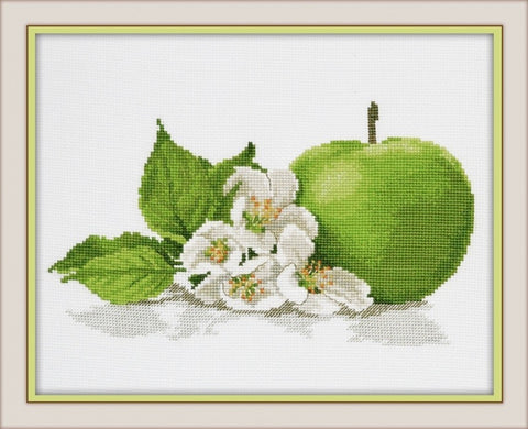 Apple Aroma S671