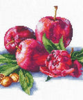 Apples And Hazelnut SANYA - 03 - Cross Stitch Kit by Andriana - Hobby.lt 🇬🇧