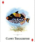 Aquarium Fish of the Natural World playing cards - Hobby.lt 🇬🇧