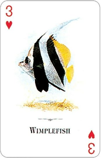Aquarium Fish of the Natural World playing cards - Hobby.lt 🇬🇧