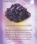 Archangels and Gemstone Guardians Oracle Cards Findhorn Press - Hobby.lt 🇬🇧