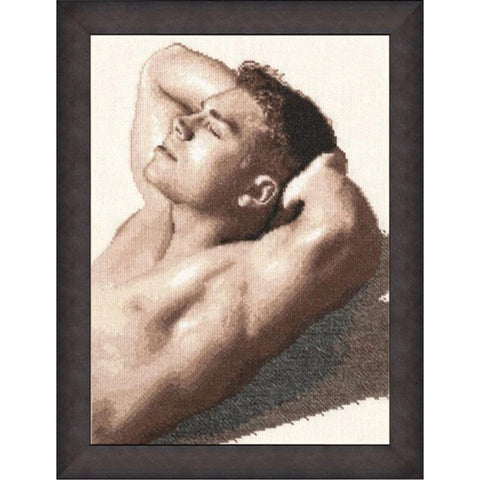 GT021 The Stranger Cross Stitch Kit from Golden Fleece