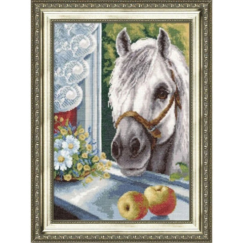 Z015 Nosy Neighbour Cross Stitch Kit from Golden Fleece