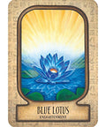 Auset Egyptian Oracle cards Rockpool - Hobby.lt 🇬🇧