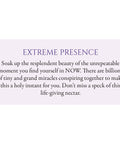 Awakened Dreamer Oracle cards Blue Angel - Hobby.lt 🇬🇧