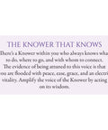 Awakened Dreamer Oracle cards Blue Angel - Hobby.lt 🇬🇧