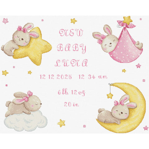 Baby Girl Birth Announcement Cross Stitch Kit