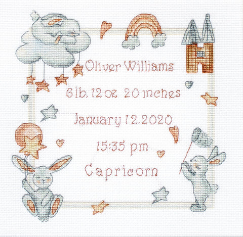 Baby Record SLETI934 - Cross Stitch Kit