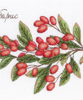 Barberry SNV - 619 cross stitch kit by MP Studio - Hobby.lt 🇬🇧