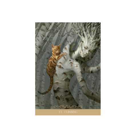 Barbieri Fantasy Cats Oracle Cards Lo Scarabeo