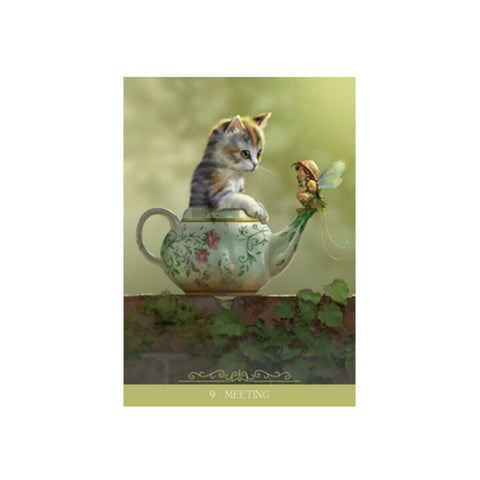 Barbieri Fantasy Cats Oracle Cards Lo Scarabeo