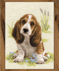 Basset Hound Puppy - Cross Stitch Kit from RIOLIS Ref. no.:1578 - Hobby.lt 🇬🇧