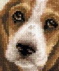 Basset Hound Puppy - Cross Stitch Kit from RIOLIS Ref. no.:1578 - Hobby.lt 🇬🇧