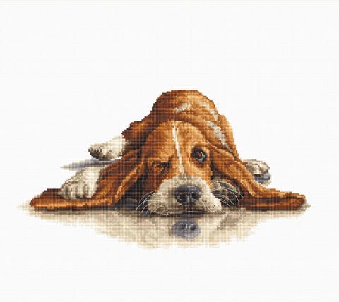 Basset SB2341 - Cross Stitch Kit