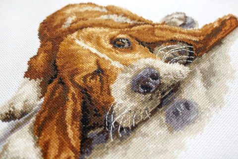 Basset SB2341 - Cross Stitch Kit